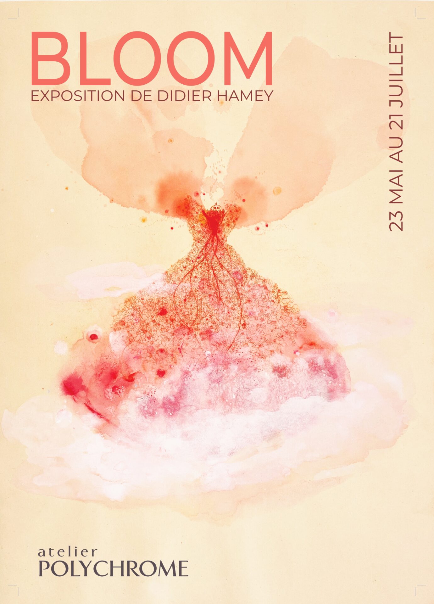 Bloom, exposition de Didier Hamey